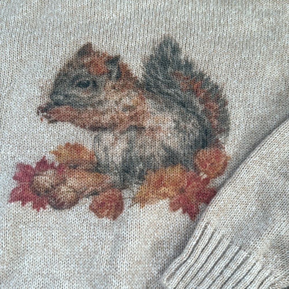 Fall Squirrel Graphic Sweater Cozy Crewneck Autumn Thanksgiving Pullover - Picture 11 of 13